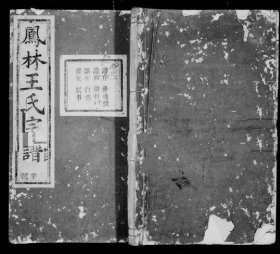 【提供资料信息服务】鳳林王氏宗譜     王宅心   宣統2年  1163页        浙江省  義烏縣