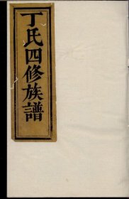 【提供资料信息服务】丁氏四修族谱 丁一峰 嘉庆11年 1968页