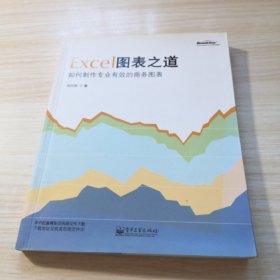 Excel图表之道：如何制作专业有效的商务图表