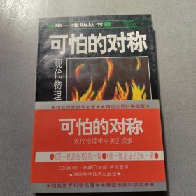 可怕的对称：现代物理学中美的探索