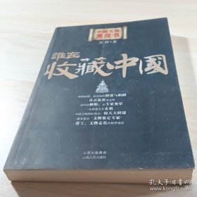 誰在收藏中國