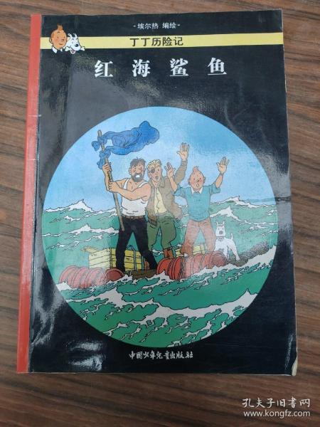 红海鲨鱼