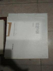 中國現(xiàn)代藝術(shù)與設(shè)計學(xué)術(shù)思想?yún)矔?丘陵文集（封面有點褶皺）D1