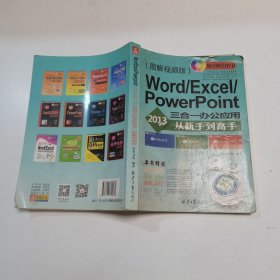 Word/Excel/PowerPoint 2013三合一办公应用从新手到高手（图解视频版）