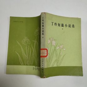 丁玲短篇小说选 下