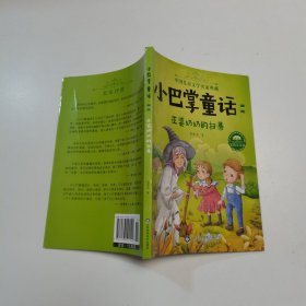 小巴掌童话·全集4：巫婆奶奶的扫帚（美绘注音版）/中国儿童文学名家典藏