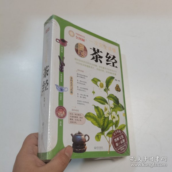 一次完全读懂茶经