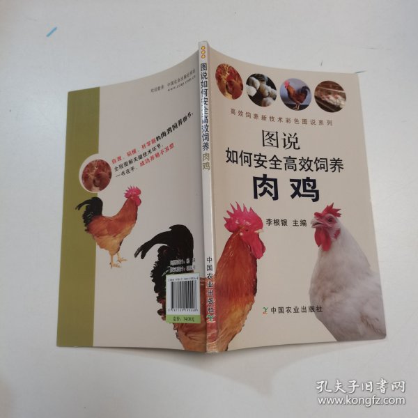 图说如何安全高效饲养肉鸡