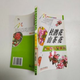 新课标同步教练