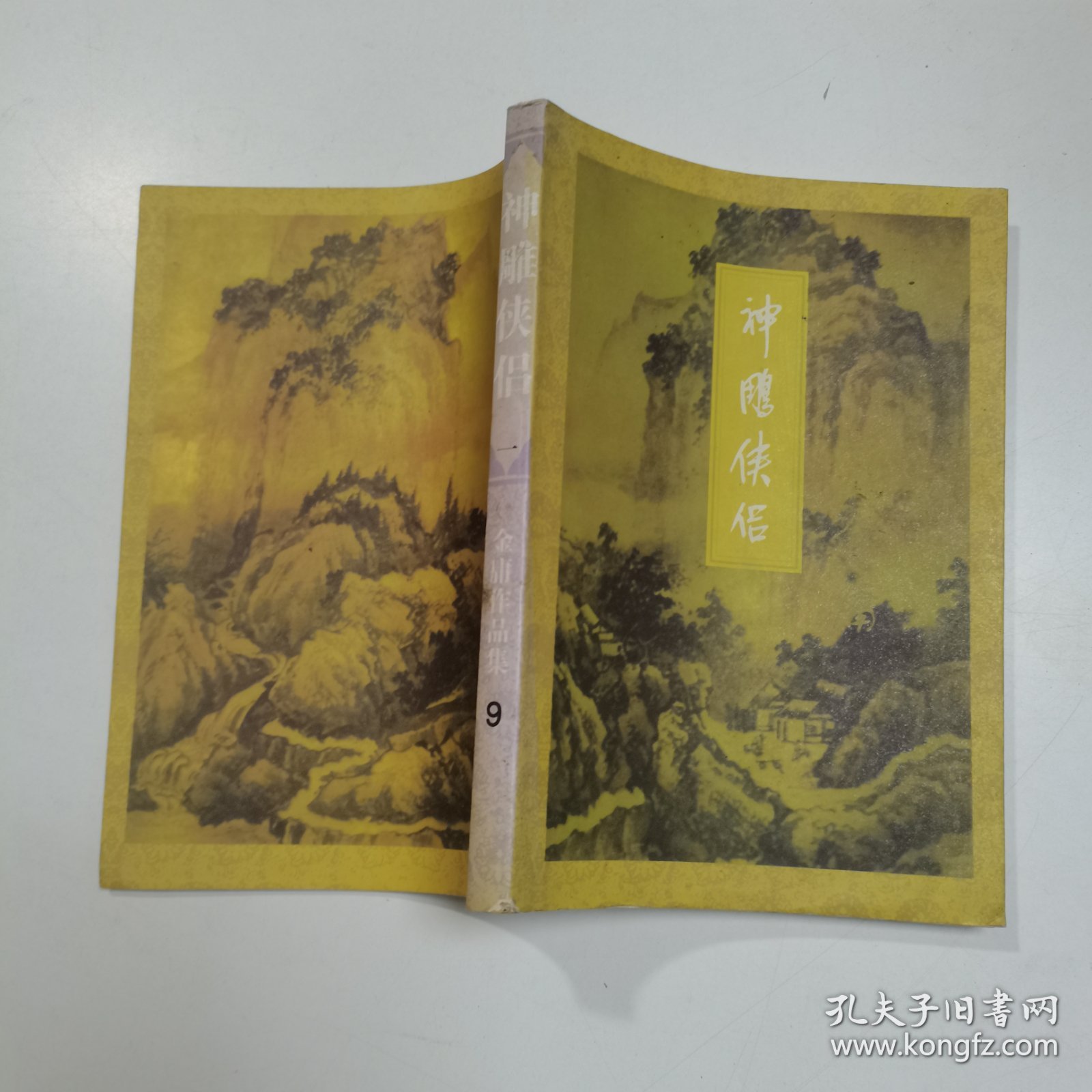 神雕侠侣金庸作品集9