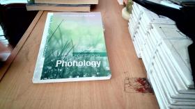 Understanding Phonology