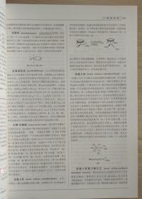 化学大辞典 科学出版社 高松著 自然科学辞典工具书系列 正版书籍