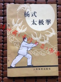 杨式太极拳