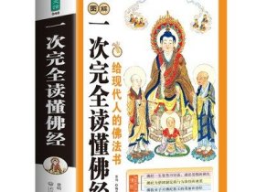 【2册】佛法修证心要问答集+图解一次完全读懂佛经 原因老人讲述文集书籍