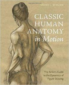 Classic Human Anatomy in Motion 经典人体运动解剖学绘画作品集