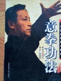 原版老书 中国意拳标准教程 意拳功法2007年谢永广著北京体育大学