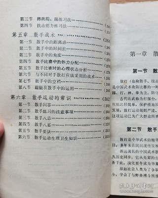 武术散打技法