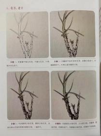 4册中国画技法教程免费教学视频 工笔牡丹画法 工笔花卉画法 等