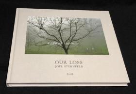 现货 Joel Sternfeld: Our Loss