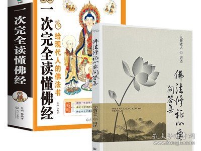 【2册】佛法修证心要问答集+图解一次完全读懂佛经 原因老人讲述文集书籍