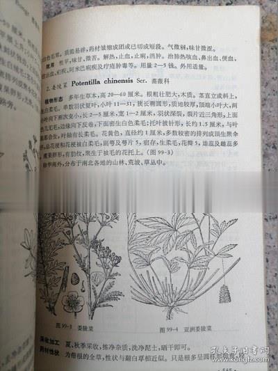 中药鉴别手册第一册正版中医中草药鉴别老版古旧书原版老书1972年