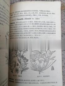 中药鉴别手册第一册正版中医中草药鉴别老版古旧书原版老书1972年