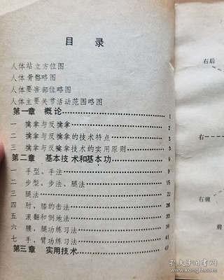 正版老书 擒拿与反擒拿 图解武术格斗步法腿功技巧练习擒拿卸骨术