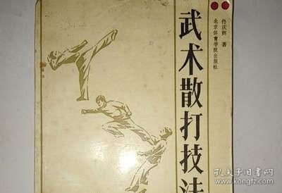 武术散打技法