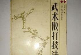 武术散打技法