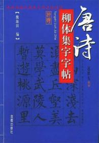 正版書籍 唐詩柳體集字字帖 魏海田 編 金盾出版社