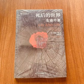 死后的世界：生命不息（平装新旧版随机发）