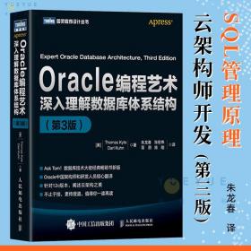 Oracle编程艺术：深入理解数据库体系结构（第3版）