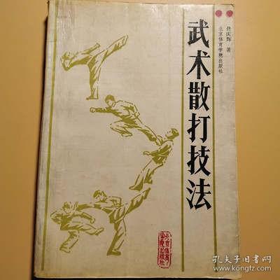 武术散打技法