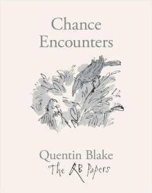 现货Chance Encounters: The QB Papers 偶遇 山脉岩石景观画册作品艺术