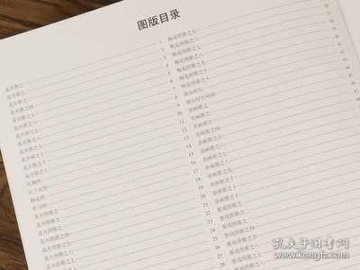 中国好丹青·大师册页精品复制：金农