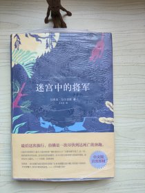 迷宫中的将军 C-2