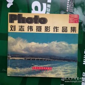 当代摄影家丛书，刘志伟摄影作品集