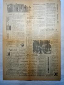 中国青年报（1990年1月8日，四版）