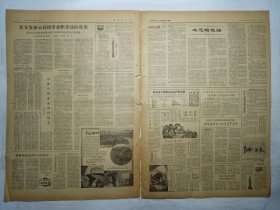 中国青年报(1962年1月11日,四版)