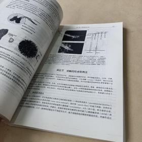 神经生物学（第3版）/普通高等教育“十一五”国家级规划教材 /寿天德 9787040351293