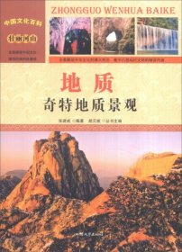 中国文化百科 壮丽河山 地质：奇特地质景观（彩图版）