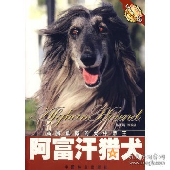 阿富汗猎犬