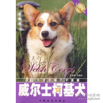 威尔士柯基犬