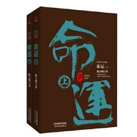 陆天明当代作品精选：命运（套装全2册）