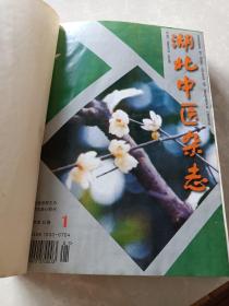 湖北中医杂志(2000年1-12 精装合订本）
