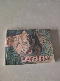 连环画：黑猩猩王国的秘闻