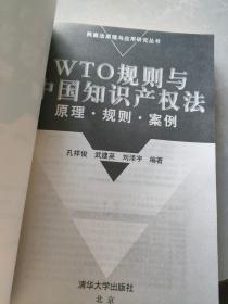 WTO规则与中国知识产权法：原理·规则·案例