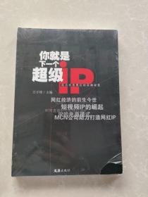 你就是下一个超级IP 未开封