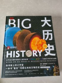 DK大历史：从宇宙大爆炸到我们人类的未来，138亿年的非凡旅程
