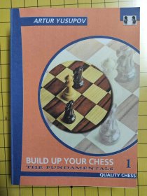 英文版国际象棋 artur yusupov build up your chess （9本合售）